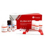 Testosterone ELISA KIT